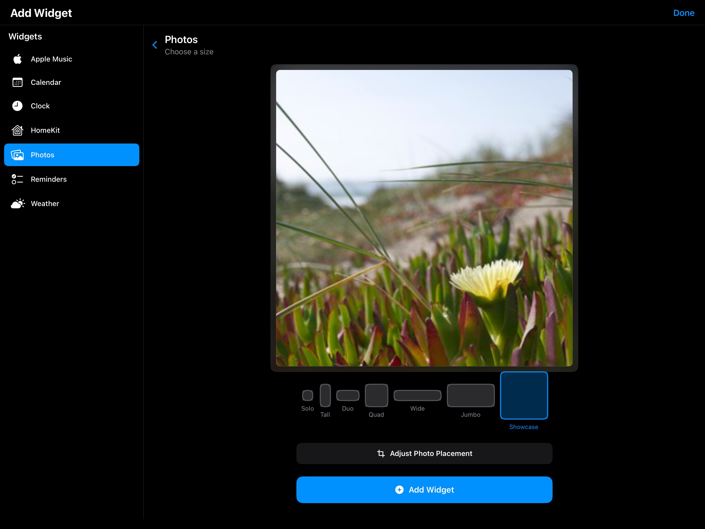 iPad screenshot